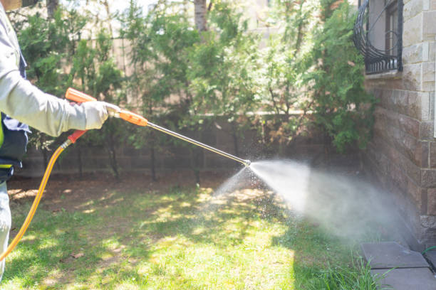 Emergency Pest Control Services in Weston, WV